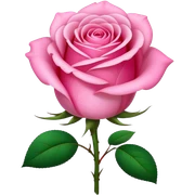 Pink sticker