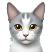 Grey and white cat sticker