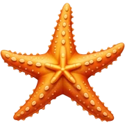starfish sticker