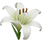 Lily sticker