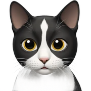 black cat gazing at viewer sticker