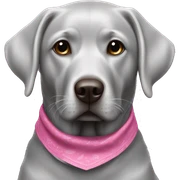 Silver Lab wearing pink bandana sticker