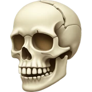 bones sticker