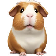 Guinea pig sticker