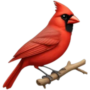 Red cardinal sticker