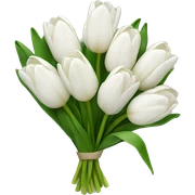 white tulip bouquet  sticker
