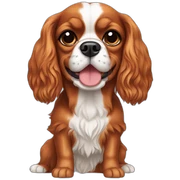 Cavalier king Charles  sticker