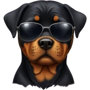 Rottweiler with sunglasses  sticker