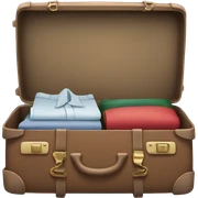 suitcase sticker