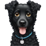 Black curly haired dog sticker