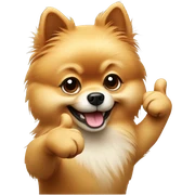 pomeranian giving thumbs up  sticker