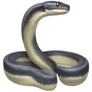 Python sticker