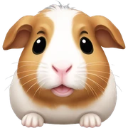 Guineapig cute sticker