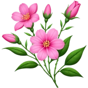 big bouquet pink Balsamina flower stem, leaf sticker