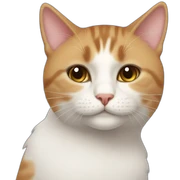 My loving boyfriend cat sticker