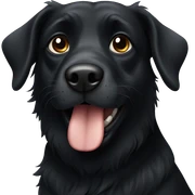 Black dog sticker