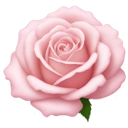 Light pink rose sticker