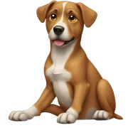 Dog  sticker
