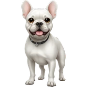 White Frenchie standing sticker