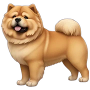 Chow chow sticker