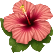 Hibiscus  sticker