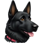Black German Shepard  sticker