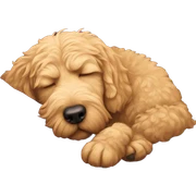 Golden doodle sleeping sticker
