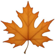 Maple sticker