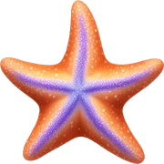 Starfish  sticker