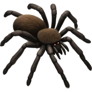 tarantula sticker