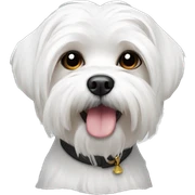 white maltese sticker