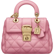 Dior pink bag sticker