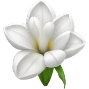 White tuilpe sticker