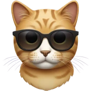 Cat with sunglasses sticker