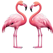 Flamingos  sticker