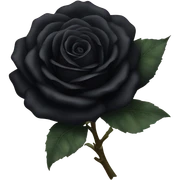 Black rose sticker