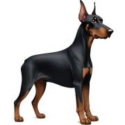 Doberman sticker