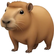 Capibara sticker