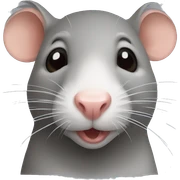 rat sticker