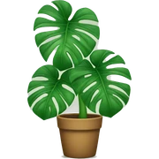 Monstera plant sticker