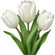 White tulips sticker