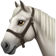 horse  sticker
