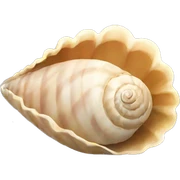 Shell  sticker