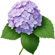 Hydrangea sticker