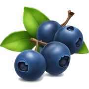 ONE Blueberry sticker
