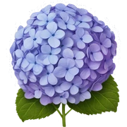hydrangeas sticker
