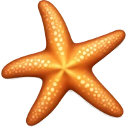 Starfish  sticker