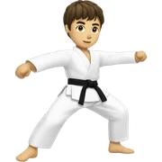 taekwondo kick sticker
