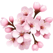 Cherry bloosom bouquet  sticker