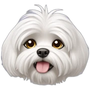 Maltese dog sticker